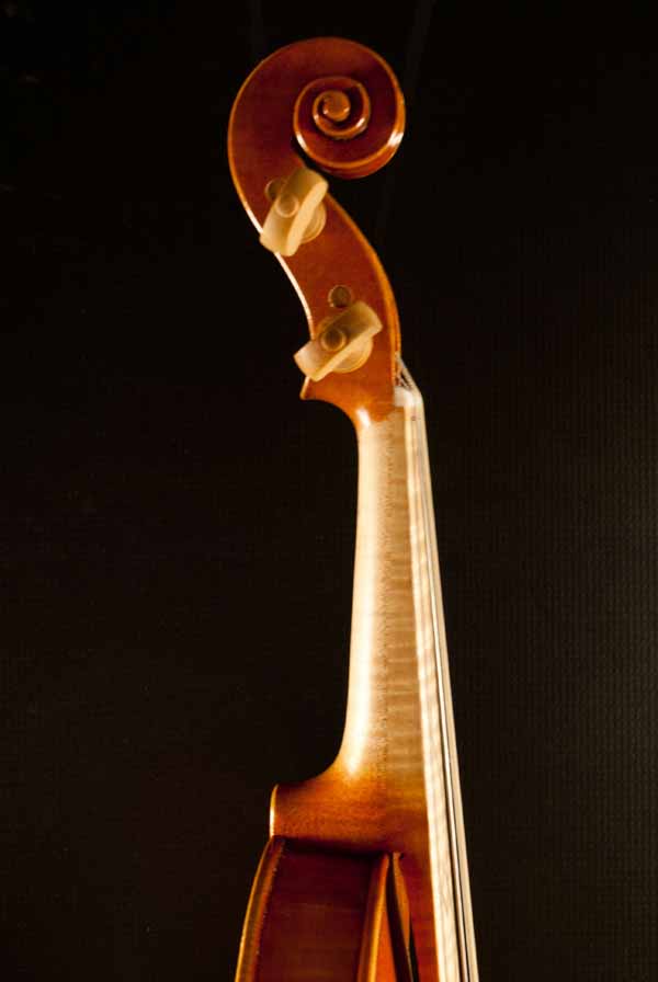 neck